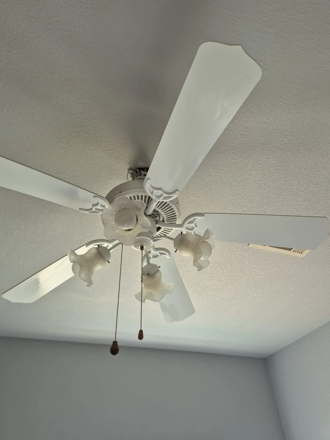 Ceiling fan blades cleaned dust-free