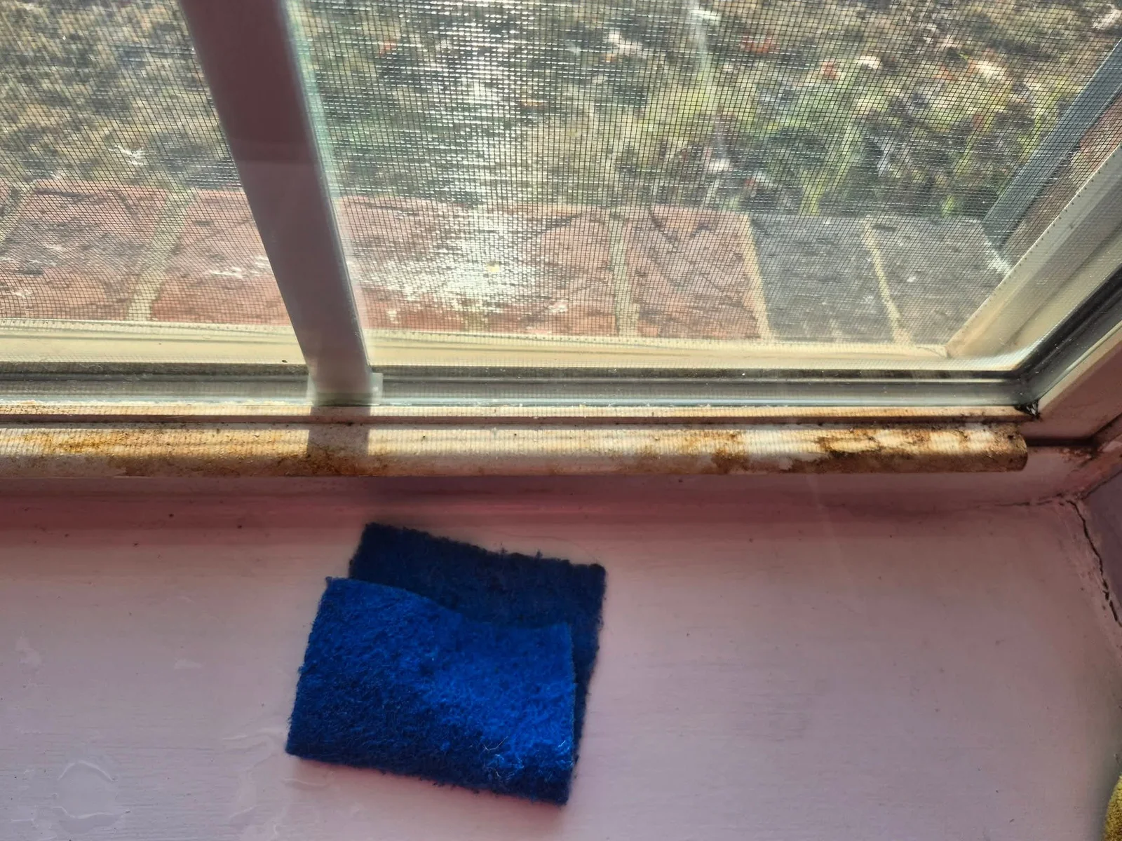 Cleaning supplies and equipment used by MVG Cleaning Services